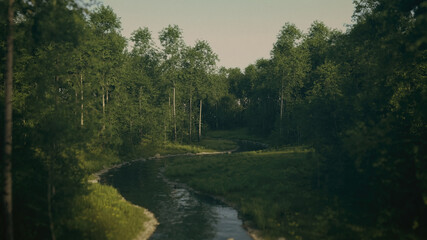 Fototapeta na wymiar Foggy forest with birches and a river at sunrise. 3D render.