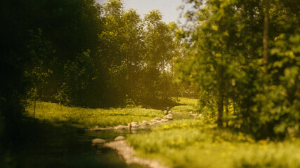 Sunny forest with birches and a river in mormning sunlight. 3D render.