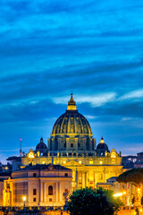 Fototapeta premium Vatican Skyline