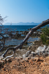 Visiting The islands of lerins: Saint Marguerite Island, In front of Cannes, South of France