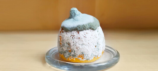 lemon fruit is covered with mold on the background