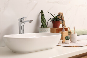 Vessel sink and different houseplants on countertop in bathroom