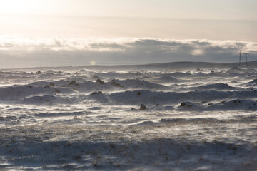 Fototapeta premium Winter landscape near Hella - South Iceland