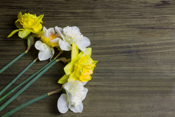 Fresh spring bouquet of daffodils. Yellow and white daffodils on a wooden background.