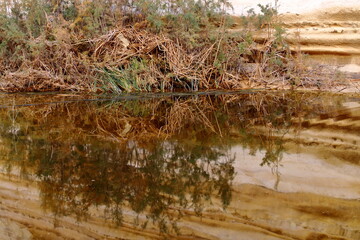 Nahal Havarim Gorge. Sde boker. Israel