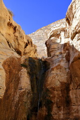 Nahal Havarim Gorge. Sde boker. Israel