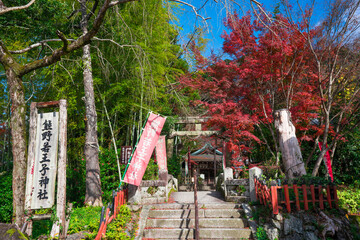 京都　熊野若王子神社（くまのにゃくおうじじんじゃ）の紅葉