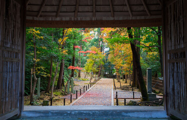 京都　法然院の山門から見る参道　秋