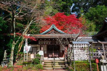 京都　熊野若王子神社（くまのにゃくおうじじんじゃ）の紅葉