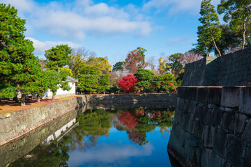 京都　二条城の紅葉