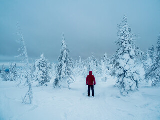 Fototapeta na wymiar Lonely traveler in a fabulous winter forest. Severe northern weather, poor visibility. Polar expedition. Snowy slope in a foggy frost shroud.