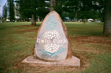 A shot of a stone in Dole Park Lanai City Lanai Hawaii