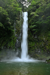 Obraz premium 八戸観音滝