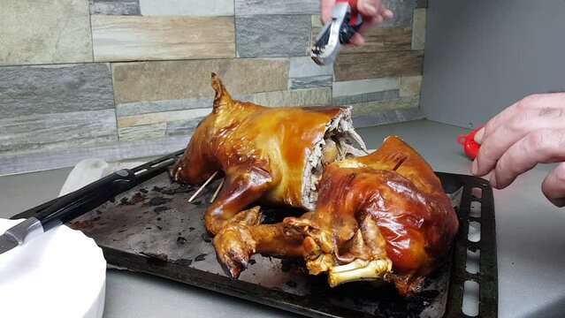 the cook cuts into pieces a pig baked in the oven. portioned distribution of a beautiful pork dish to the table. suckling pig