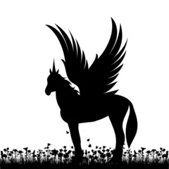 pegasus on the grass black silhouette, isolated vector