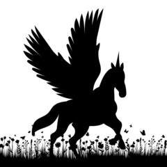 pegasus on the grass black silhouette, isolated