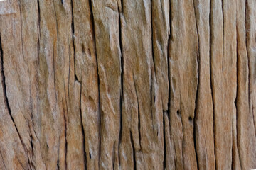 reclaimed wood Wall Paneling texture
