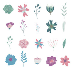 Set of flowers and leaves isolated on white background