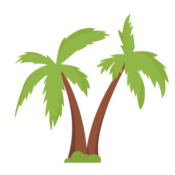 Palm tree in flat style isolated on white background