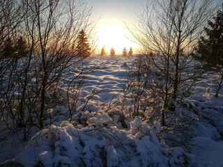 Sunset on the waves.
 "Les hautes fagnes" covered with snow on a beautiful sunny whiter day.