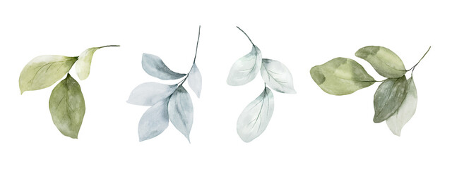 Set of watercolor botanical leaves elements