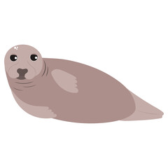 Beautiful cartoon illustration with colorful sea animals seal on white background for print design. Kid graphic. Sea underwater life. Vector isolated hand drawing.