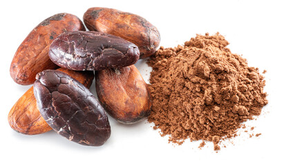 Cocoa beans and cocoa powder close-up on white background.