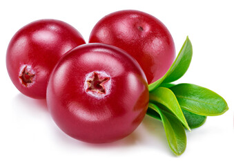 Ripe red cranberries with green leaves on white background. Close-up.