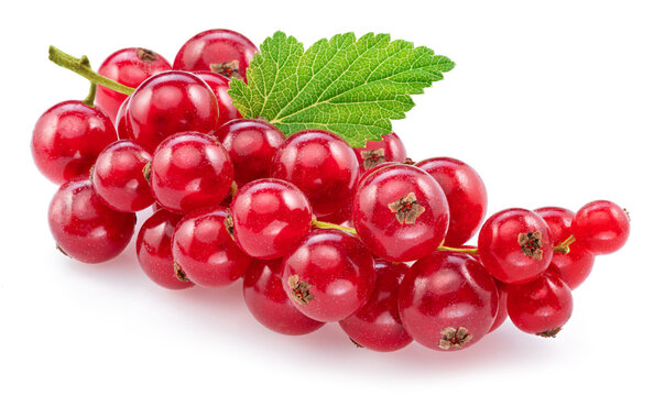 Ripe redcurrant berries on white background. Close-up.