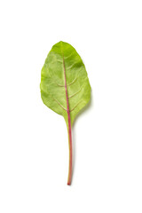 Fototapeta premium Spinach leaves isolated on white background.