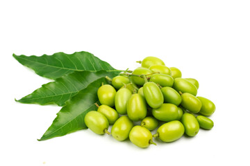 Fresh Neem fruit with neem green leaf isolated on white background.