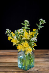 Blumenstrauß mit gelben Narzissen und weißen Blüten, Frühling Blumenstrauß
