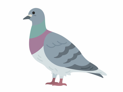 鳩 Images Browse 5 579 Stock Photos Vectors And Video Adobe Stock 鳩 Images Browse 5 579 Stock Photos Vectors And Video Adobe Stock