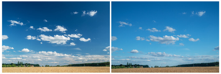 Effect of a polarizing filter shown on the summer landscape photo. - obrazy, fototapety, plakaty