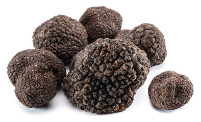 Black edible winter truffles on white background. The most famous of the truffles.