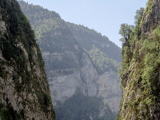 Steep cliffs overgrown with forest and moss. Mountain valley. National reserve on a summer sunny day