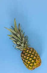 Fresh organic pineapple on pastel bright blue background. Flat lay tropic fruits