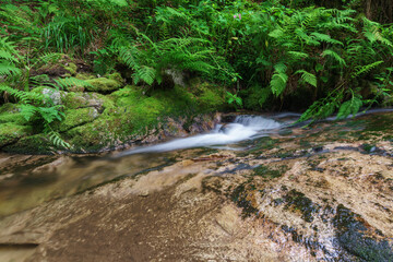 Bachlauf Allerheiligen