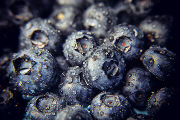 голубика собранная в лесу