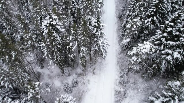 Widok z drona na zimowy krajobraz polskich g&oacute;r, Beskid Niski i Beskid Sądecki