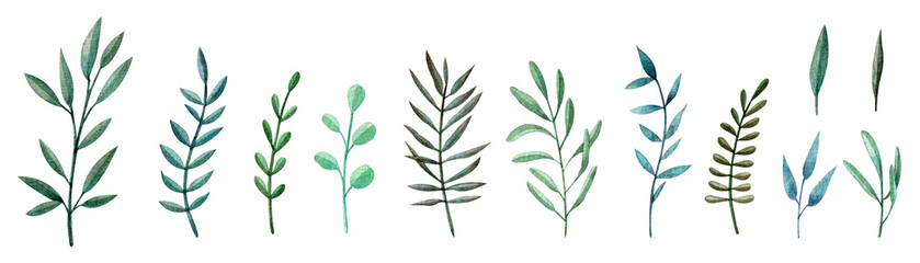 A set with handmade plants and leaves. Watercolor illustration. Nature. Natural. Flora. Botany. Printing on fabric, cards, paper. Design. Decor. Green. Beautiful. Collection.