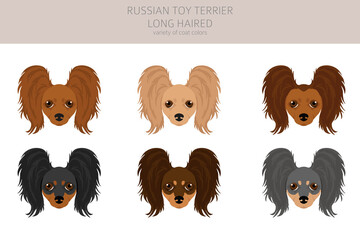 Russian toy terrier longhaired clipart. Different poses, coat colors set