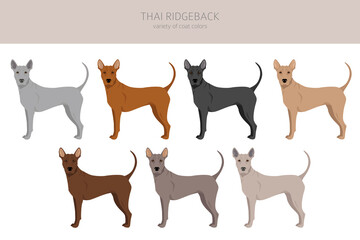Thai Ridgeback clipart. Different poses, coat colors set