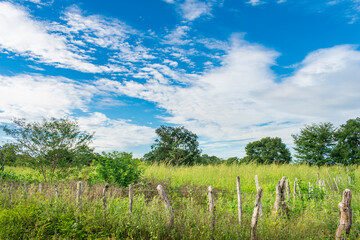 Fototapeta na wymiar A view of the countryside in Oeiras - Piaui state, Brazil