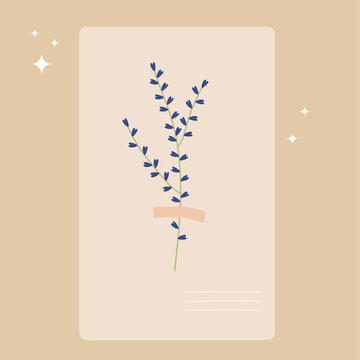 A kraft paper envelope with a wildflower.