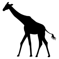 キリン　シルエット　シンプル　リアル　モノクロ　イラスト