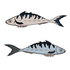 Vector illustration of Atlantic Mackerel. Colorful simple freehand sketch. A set of products for a healthy diet and keto menu.