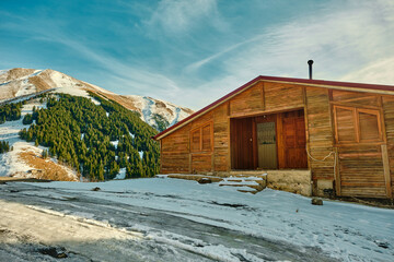 Wooden house, village house and winter season snow at road and huge mountain pine trees background. Low angle photo at trabzon turkey