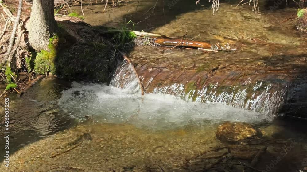 Wall mural Mountain river in the green forest