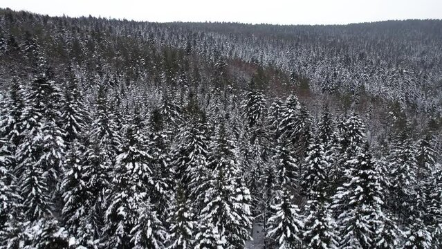 Widok z drona na zimowy krajobraz polskich gór, Beskid Niski i Beskid Sądecki
